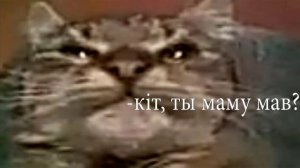 песня Кит ты маму мав