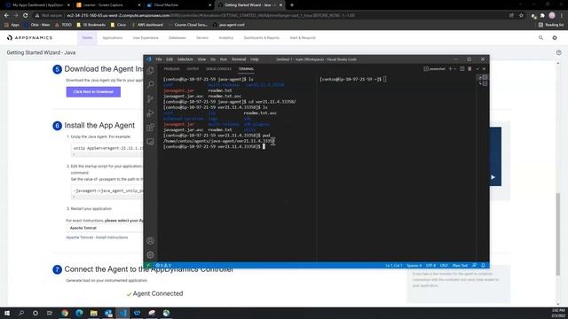 Instrumentando o Java Agent - AppDynamics смотреть онлайн