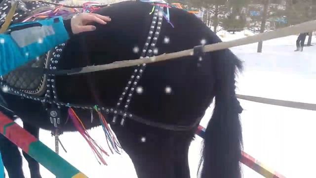 #Встреча весны#катание на лошадях смотреть онлайн