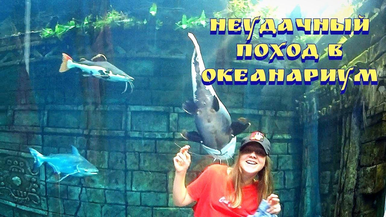 Международный день защиты детей / Океанариум крокус сити / Куда сходить в Москве / 1 июня смотреть онлайн