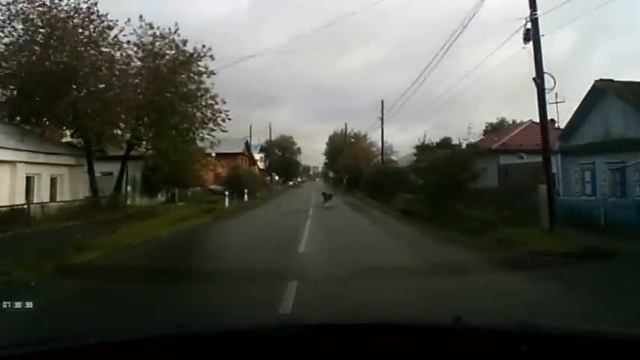 Солярис vs Ситроен 1-я серия смотреть онлайн