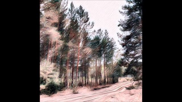 Болотная старушка и Иваны дураки.  История нашей совести