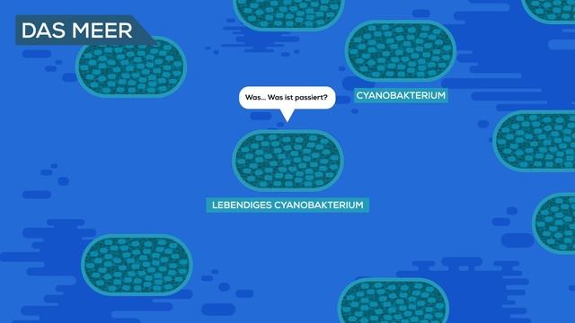 Was ist Leben? Ist der Tod real? смотреть онлайн