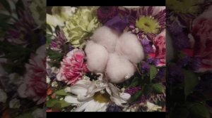 Диана Строгая - спалила сама себя | Сплетница