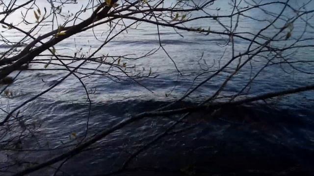 VID 20220504 210703 Девушки ( Н. Гумилёв)...Павел Васильев Лахтинский смотреть онлайн