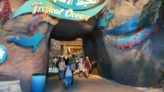 SeaWorld Abu Dhabi Yas Island 2023 June