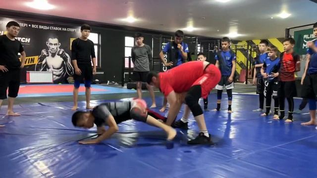 #панкратион #ufc #греплинг смотреть онлайн
