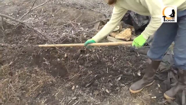 [Анастасия] - Закладываем приствольные круги деревьев смотреть онлайн