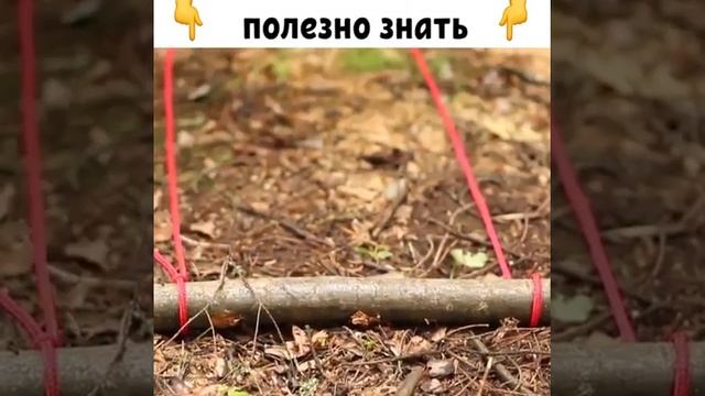 Лайфхак: как легко собрать хворост смотреть онлайн