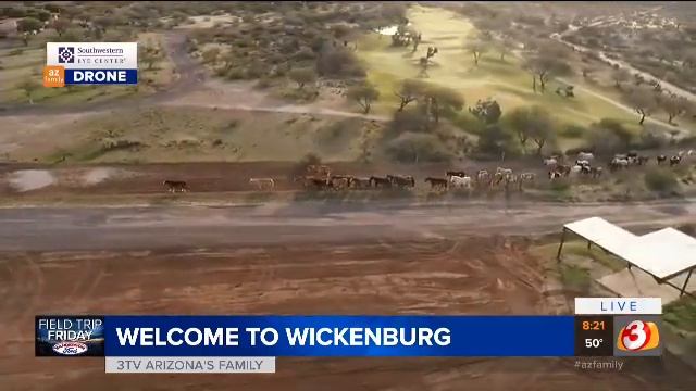 Horse Run & Interview With Ranch Owner Rusty Gant