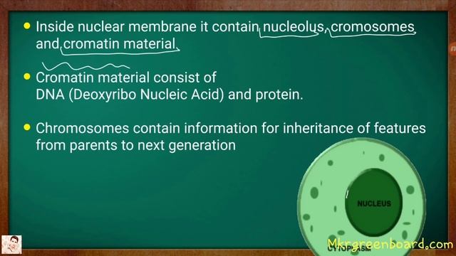 Fundamental Unit of Life Class 9 Science Chapter 5 Biology CBSE NCERT KVS смотреть онлайн
