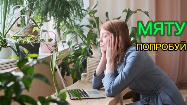 Басыңыз ауырса.ОТ ГОЛОВНОЙ БОЛИ#шортс #шортсвидео