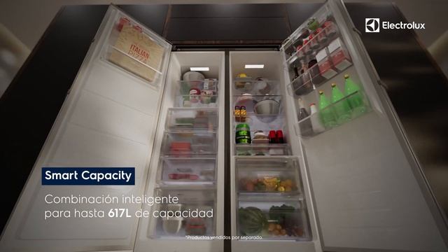 Congelador Electrolux Experience Con Inverter EFUX26E6HVS 262L