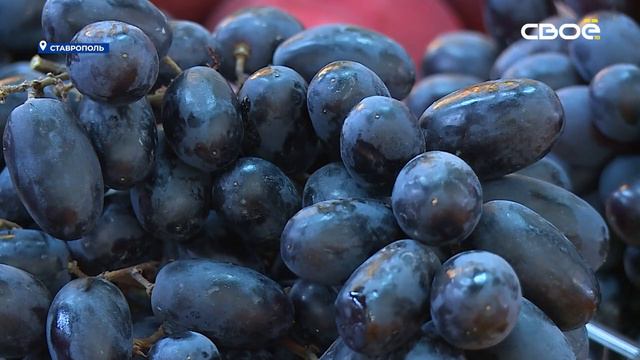 Журналисты телеканала «СвоёТВ» открыли «витаминный сезон»