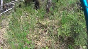 Рыбалка в Архангельской области