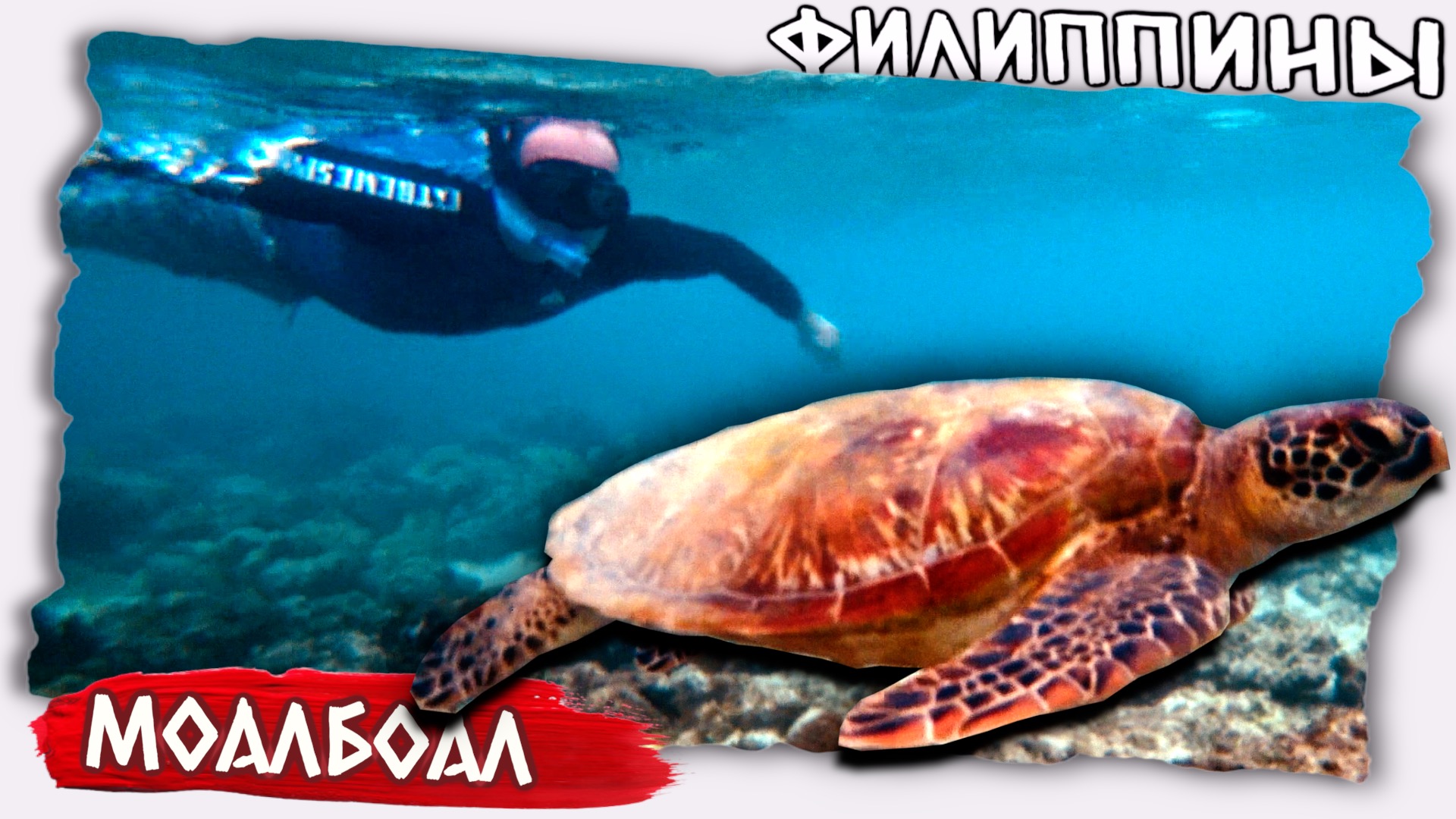 Подводный мир Филиппины // Снорклинг Моалбоал