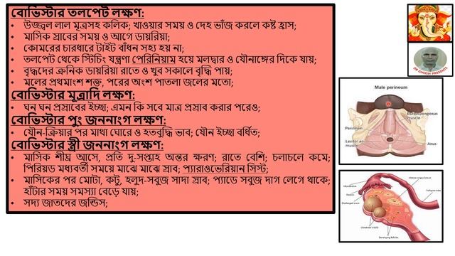 হোমিও-ওষুধ বোভিস্টার চিহ্ন-লক্ষণ ও ব্যবহার। SIGNS-SYMPTOMS & USES OF HOMEO-REMEDY BOVISTA in Bangl смотреть онлайн