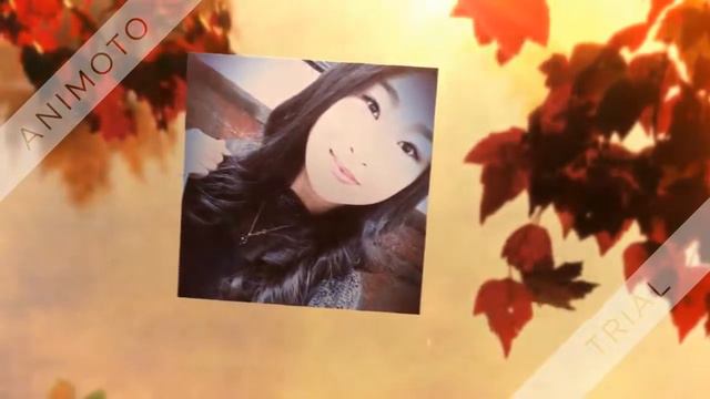 Программистты, группа ВК 13-1/Programmer группа ВК 13-1 смотреть онлайн