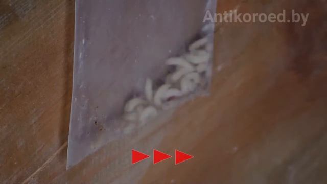 Уничтожение древесных вредителей в дереве СВЧ методом смотреть онлайн