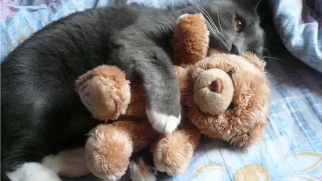 Ради славы Сладкий сон смотреть онлайн