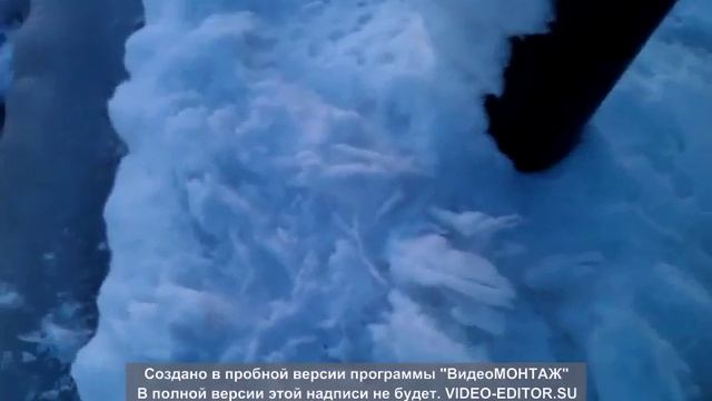 Серая шейка, будь мужиком