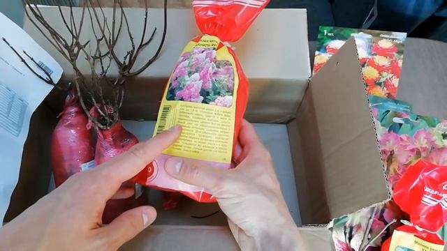 ОБЗОР интернет-заказа АГРОФИРМА "ПОИСК". Гортензии, георгины, гладиолусы, сирень.Честный отзыв. смотреть онлайн