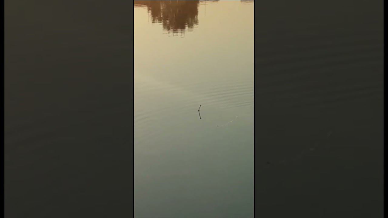 #отпуск #деревня #карасики смотреть онлайн