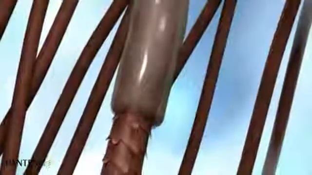 Как важно увлажнять волосы Секреты Pantene смотреть онлайн