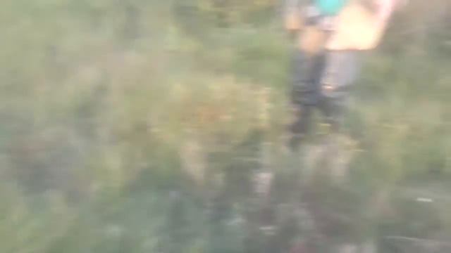 Охота по полевой дичи 3 смотреть онлайн