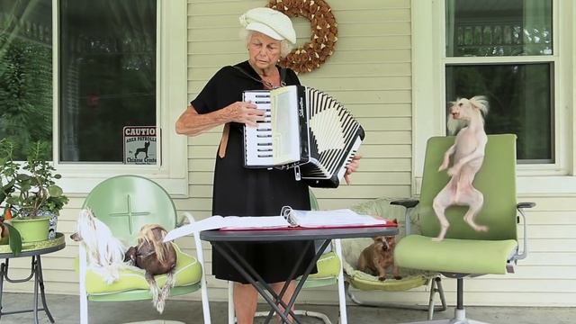 Nathan dances to live accordion music! смотреть онлайн