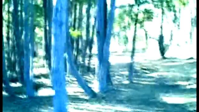 Австралия. Золото. Экстрим смотреть онлайн