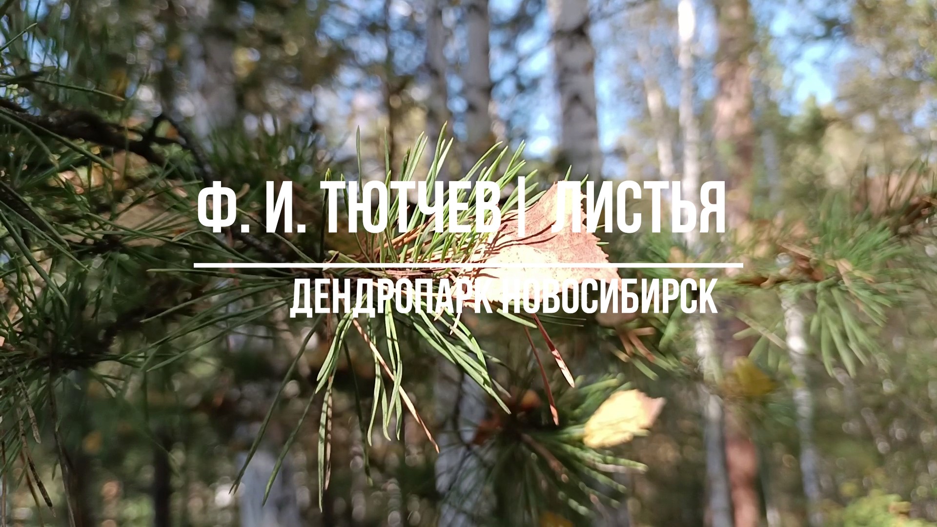 Ф. И. Тютчев, Листья. Осенняя прогулка по дендропарку Новосибирска. смотреть онлайн