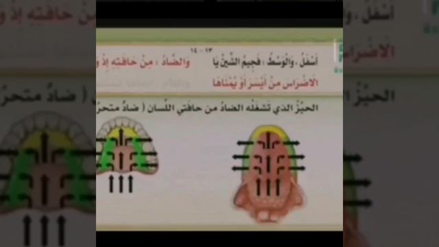 Правильное произношение буквы дод "ضاد" مخرج(махрадж) смотреть онлайн
