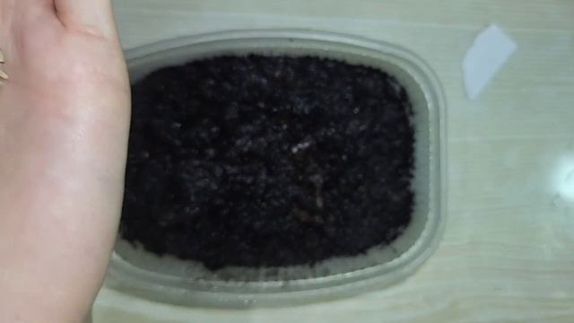 РЕЗУЛЬТАТ меня УДИВИЛ! ВЫРАЩИВАЮ ЭХИНАЦЕЮ из СЕМЯН смотреть онлайн