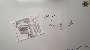 Арабский алфавит. Горловые буквы:  ه  ء  ح  ع  خ  غ.