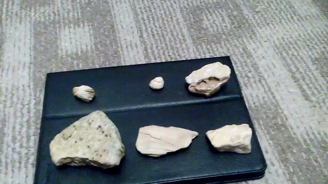 Основы геологии: Известняк смотреть онлайн