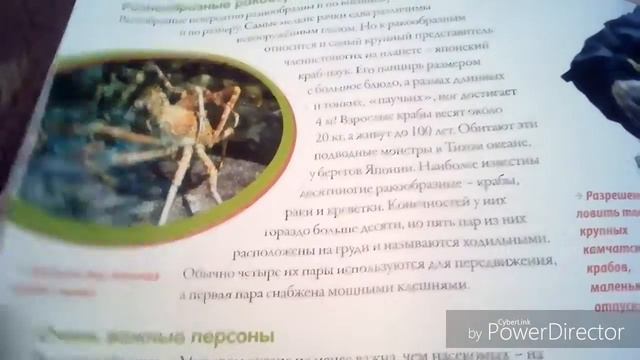 Моя страна собери карту России 48 выпуск смотреть онлайн
