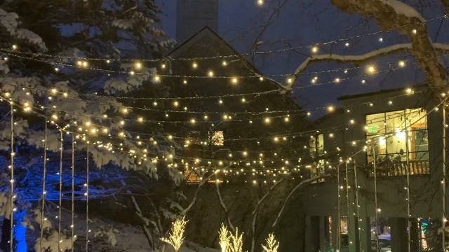 2022 Winter Lights at the Minnesota Landscape Arboretum смотреть онлайн