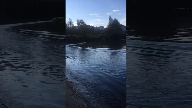 Карповий кораблик для рибалки CAMRAD Своїми руками #shorts #shortsvideo #кораблик #рыбалка #tiktok смотреть онлайн