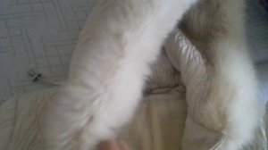 Стирка куртки с мехом в стиральной машине. Мой опыт