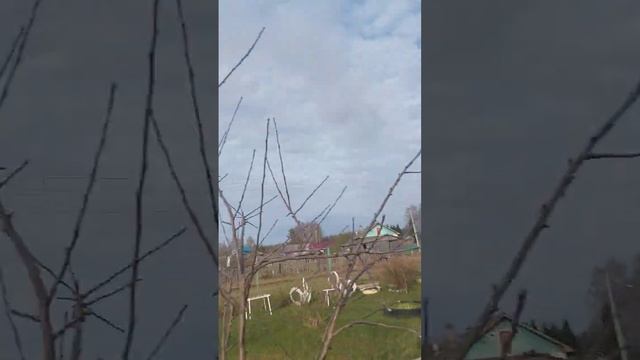 Как сделать отпугиватель от ворон смотреть онлайн