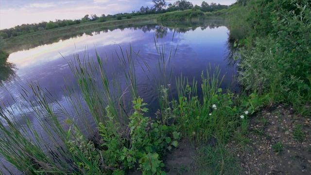 Бешеный вечерний клёв . Рыбалка от души... смотреть онлайн