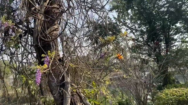 Утро доброе смотреть онлайн