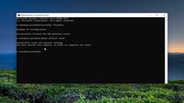 Fix Epic Games Connection Error, Issues and Problems on Windows 11/10 [Tutorial]