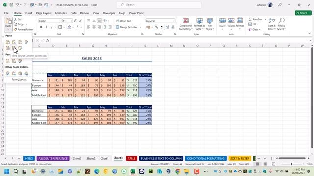 10.Excel Paste Options смотреть онлайн