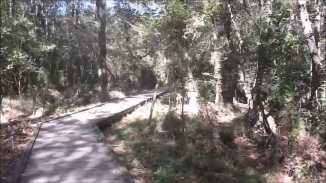East End Park Kingwood Texas/Alligator Alley, Heron Lake, Beautiful Tunnels and more! смотреть онлайн