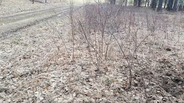 БИТАЯ ФЕРМА ОКУПИЛА МД смотреть онлайн