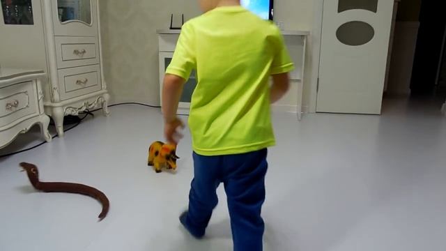 Подарок Климу / Змея -кобра в схватке с динозавром тираннозавром смотреть онлайн