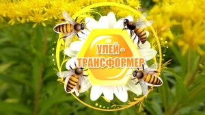 УЛЕЙ ЛЕЖАК на 24 рамки ТРАНСФОРМЕР.