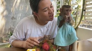 Monkey LyLy is sad because she doesn't know who ate all the ice cream in her box